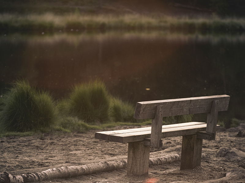 The Loneliness Epidemic: You Are Not Alone